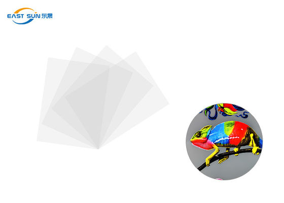 Хорошая цена Цвет обычного фильма передачи тепла ширины 60cm 33cm 30cm DTF белый онлайн